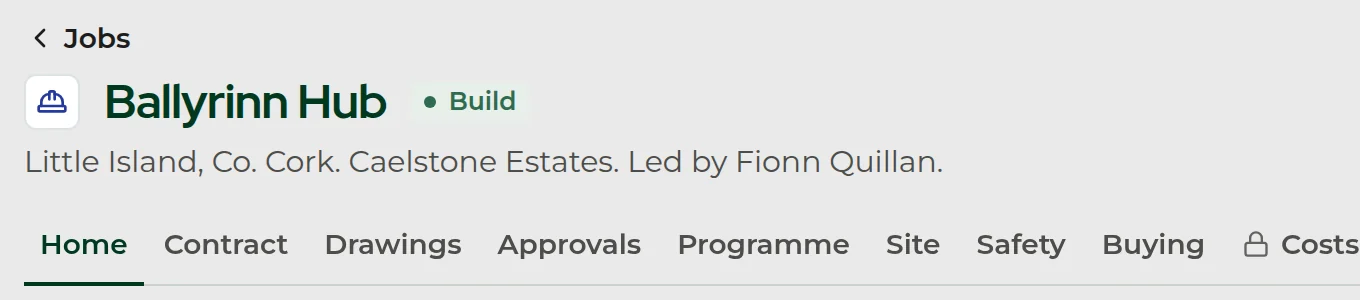 The Ballyrinn Hub job header: Little Island, Co. Cork, for Caelstone Estates and led by Fionn Quillan, with its tabs and a lock on Costs.